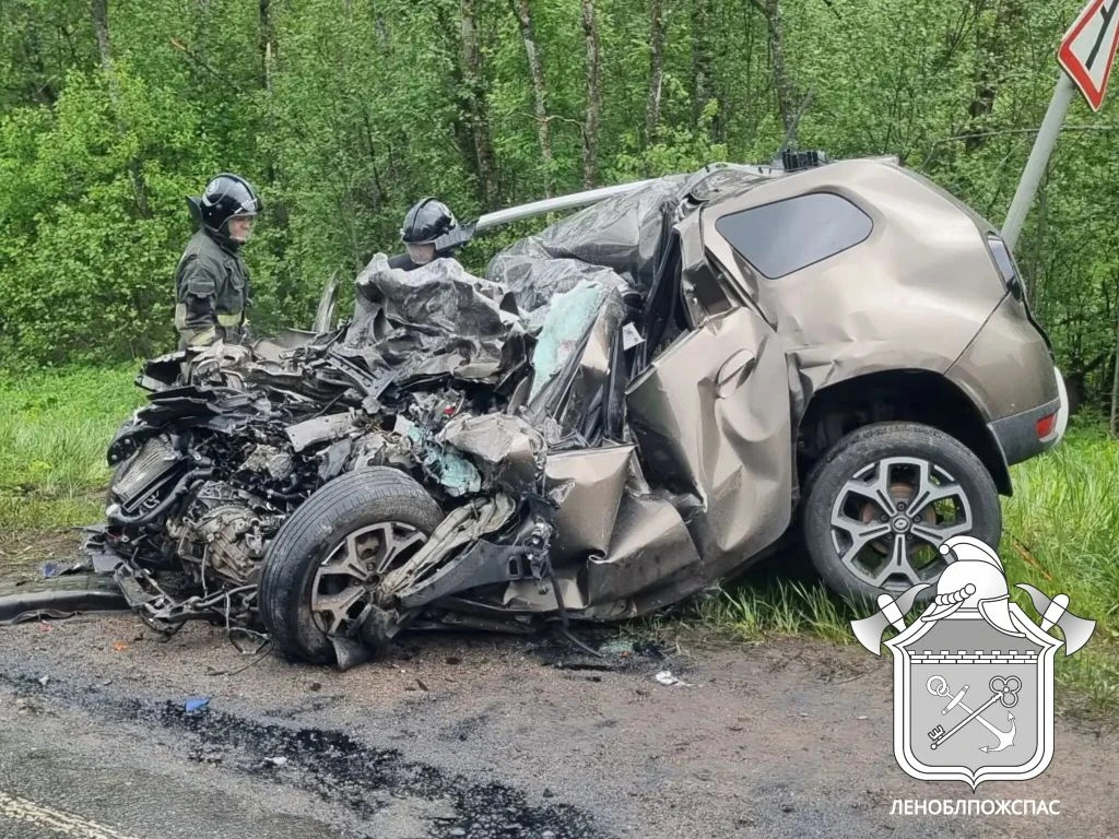    Фото: https://max.ru/id4706031103_gos/AZ5pZNGwAe8