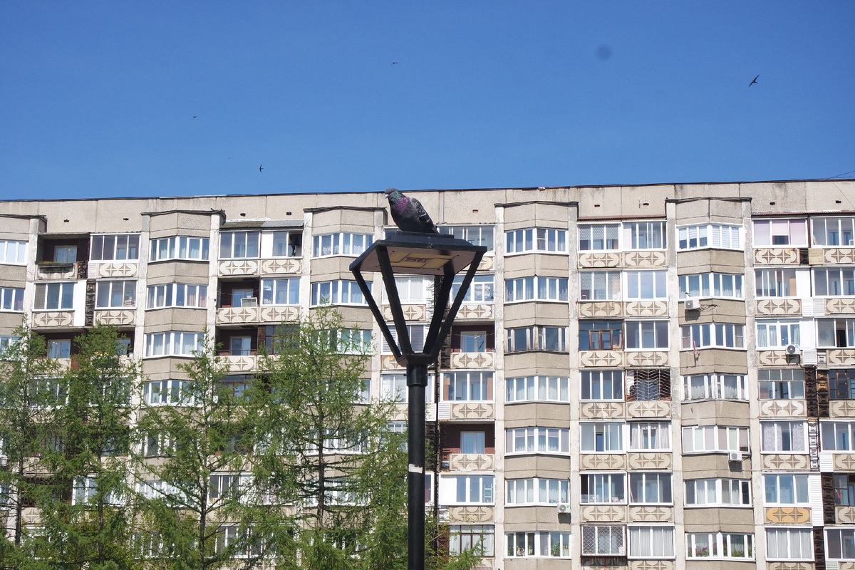 пернатый ангарчанин