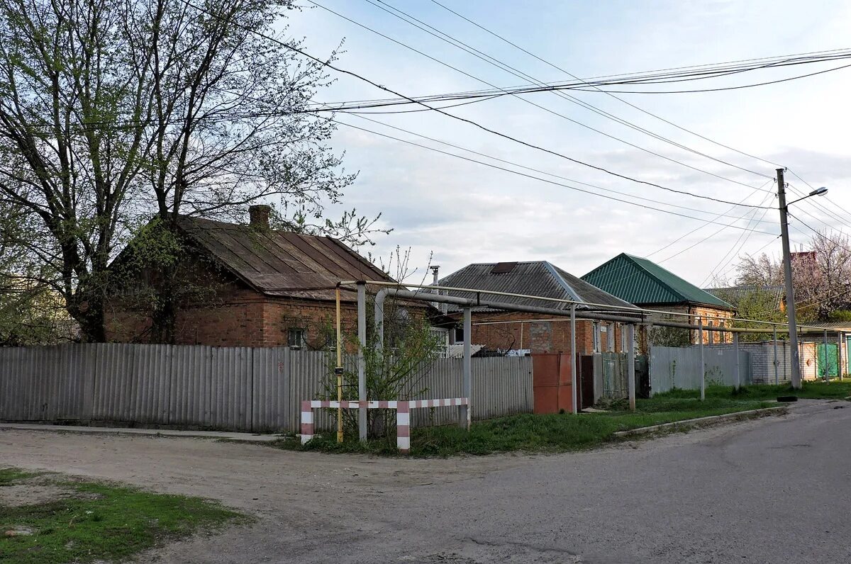 Караваевы дачи. Киев 1981 г.