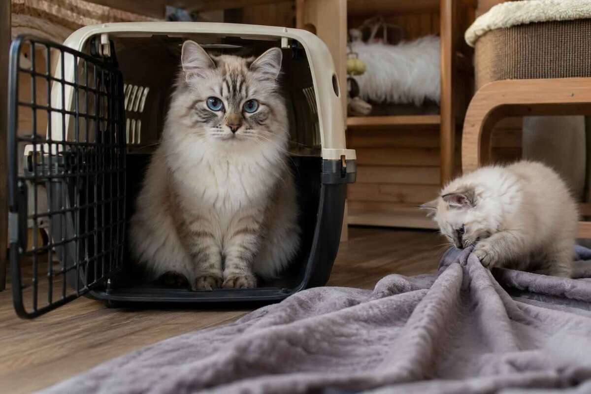 - Глаза важны, но не только они