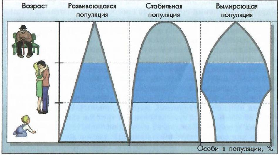 источник сеть интернет