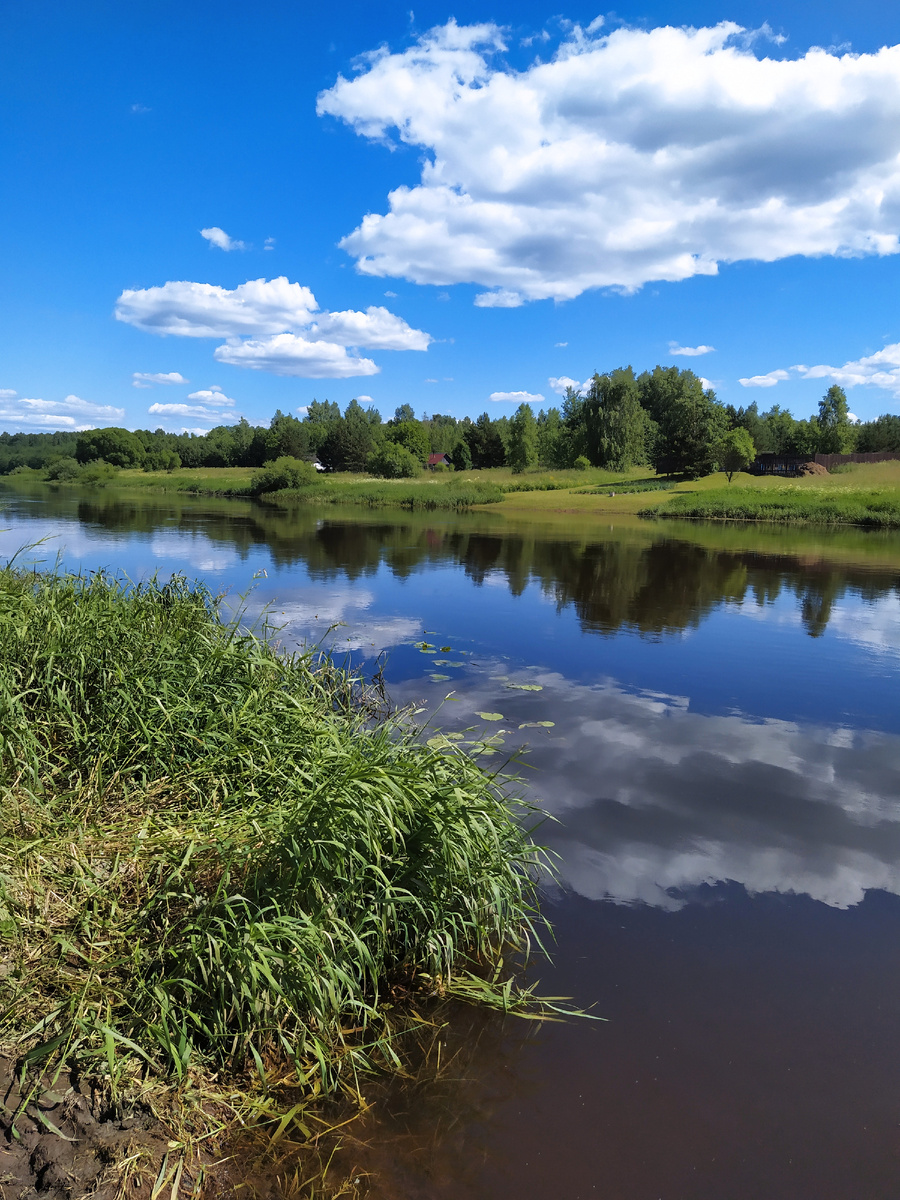 Река Тверца 