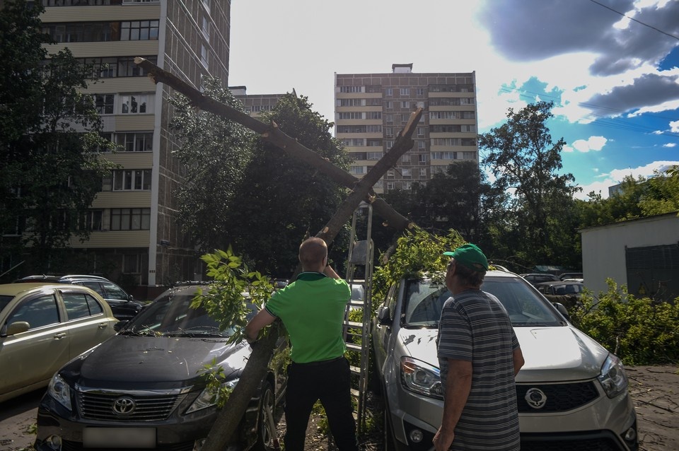    Деревья упали в разных районах города. Виктор ГУСЕЙНОВ