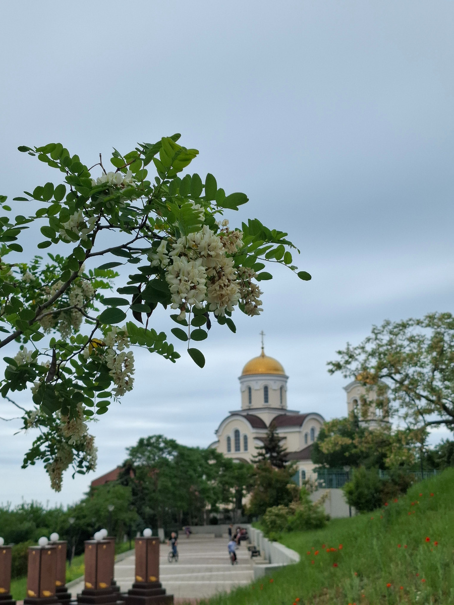 Фото автора