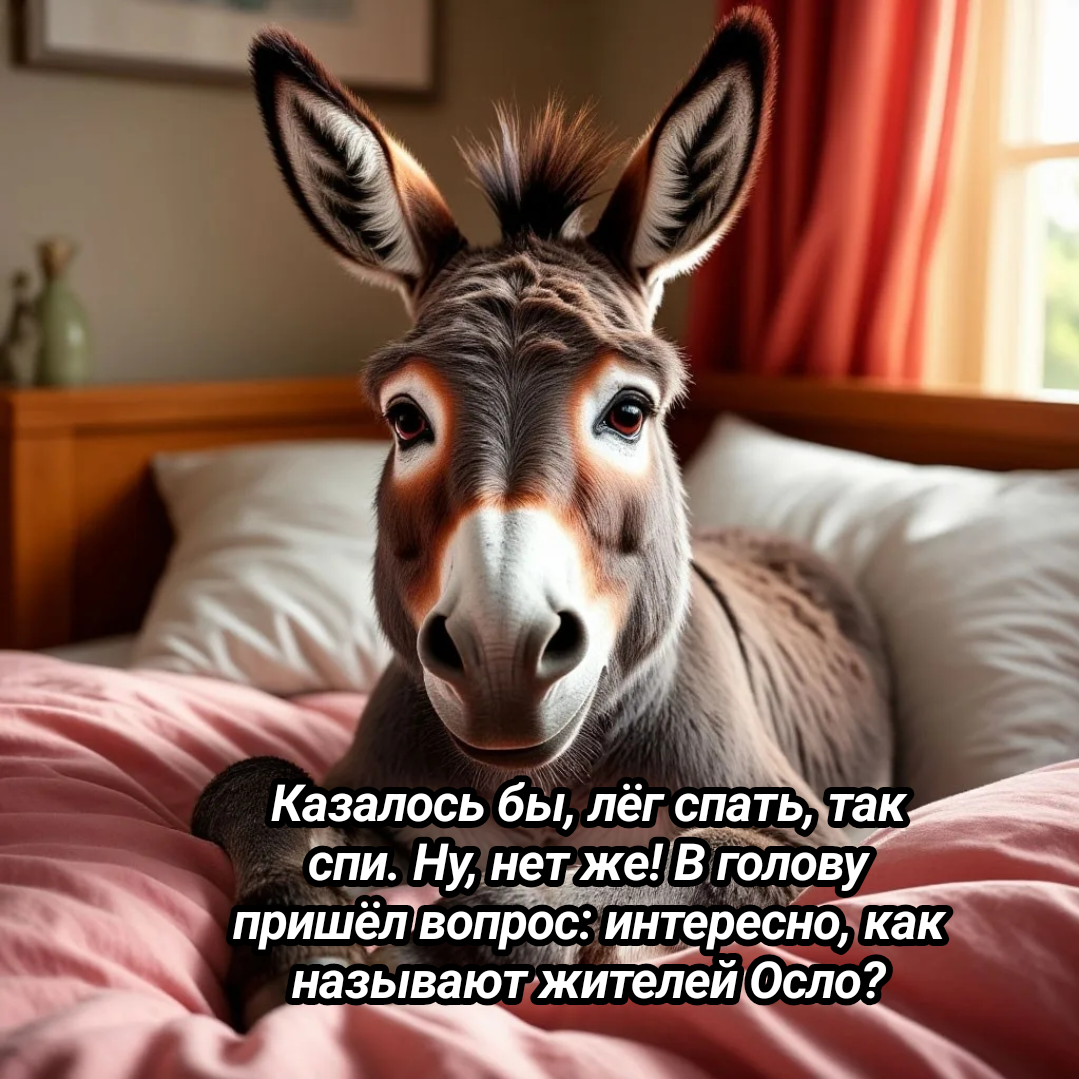 коллаж автора