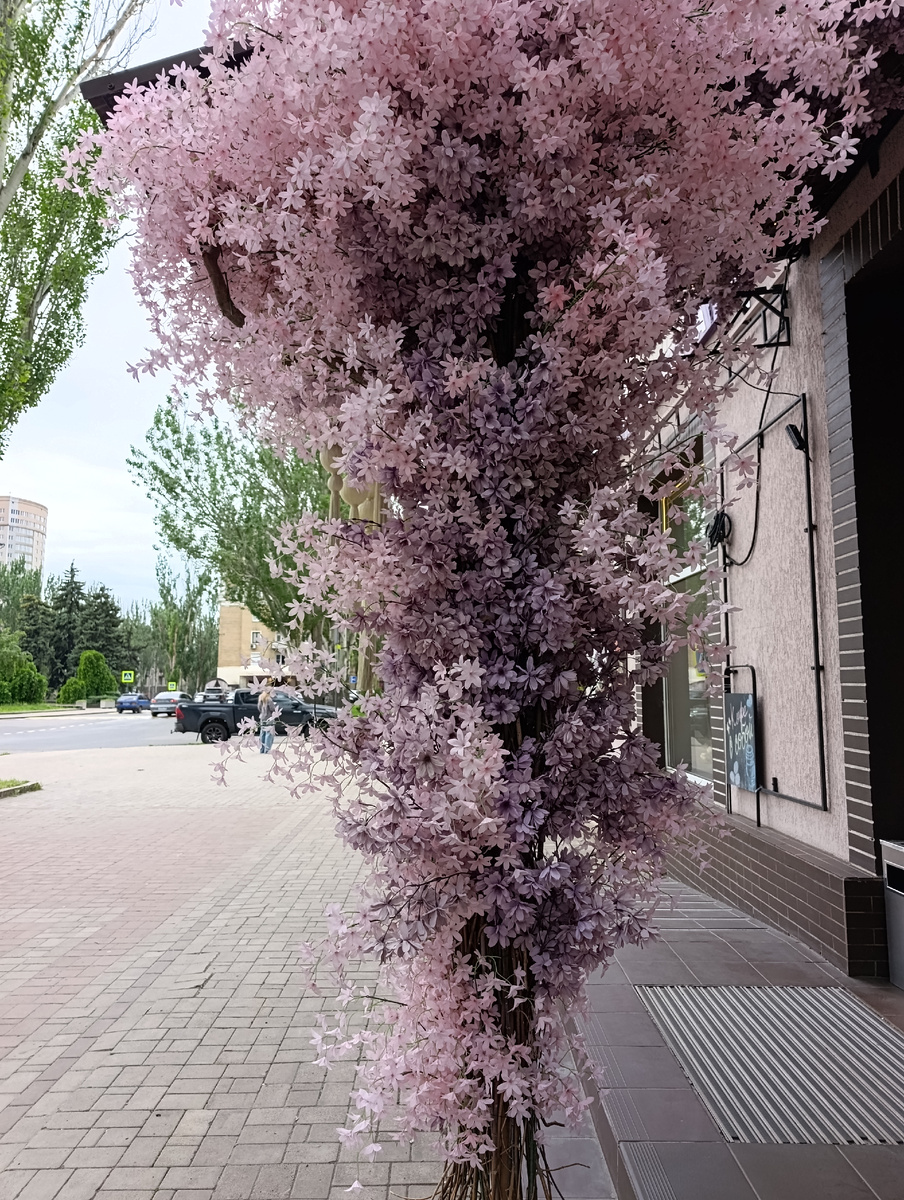 Украшение кофейни на бульваре Пушкина.