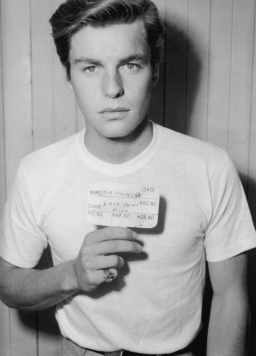 РОБЕРТ ВАГНЕР (ROBERT WAGNER)