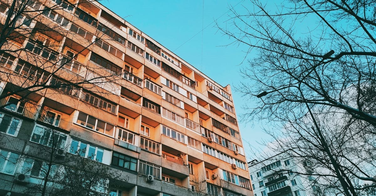    Фото: Pexels, @mxkrv
