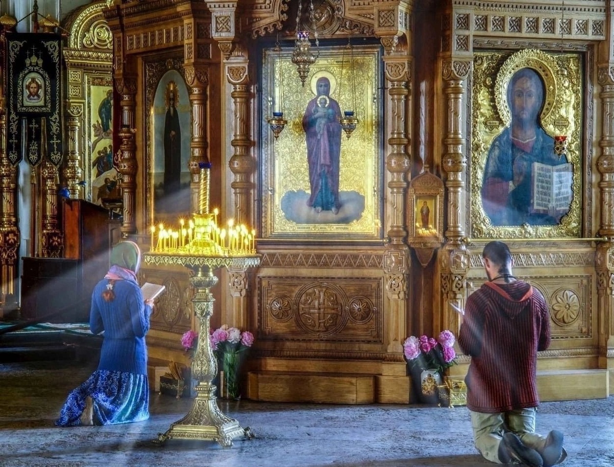 коллаж автора