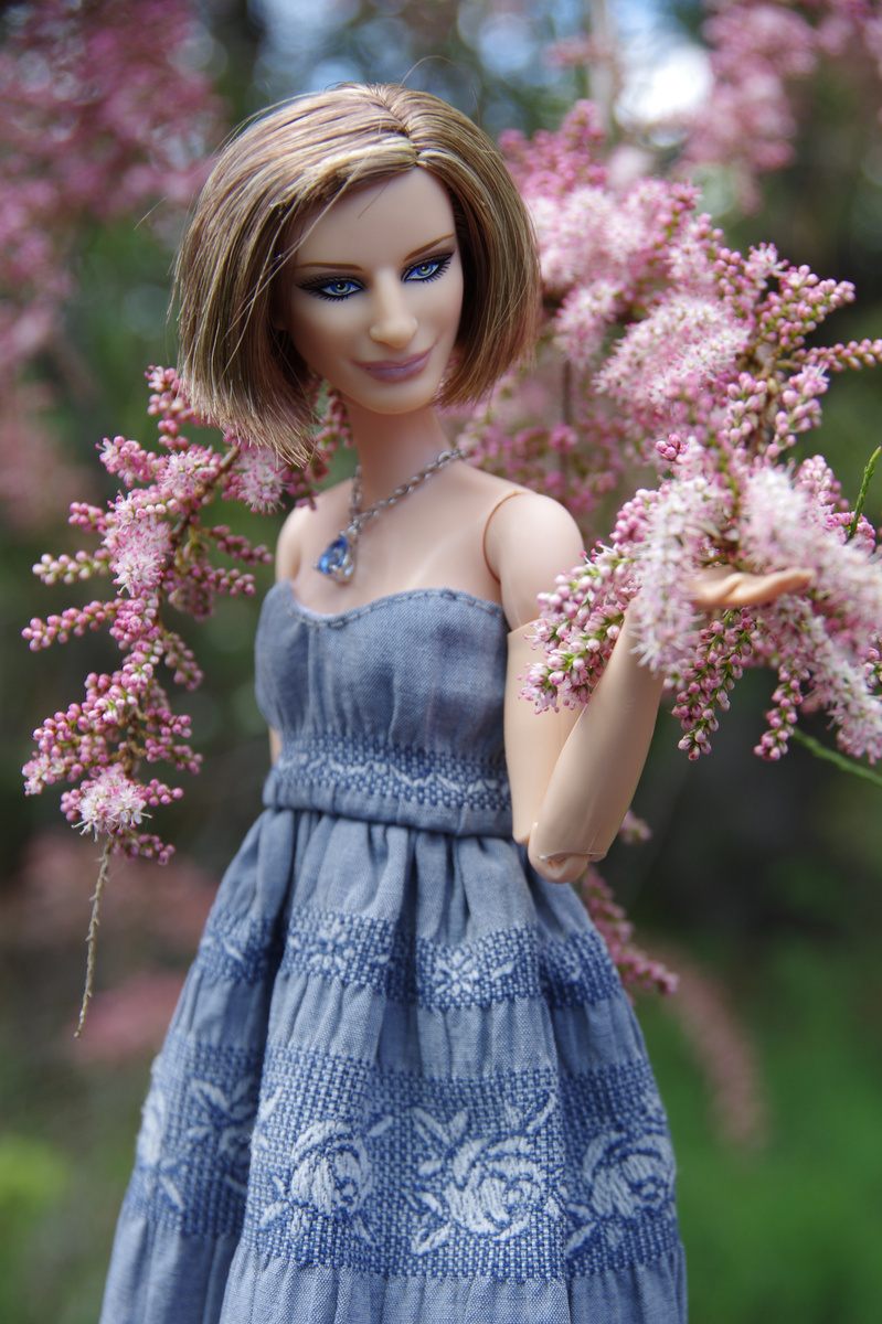 Barbie Барбара Стрейзанд. Фото автора