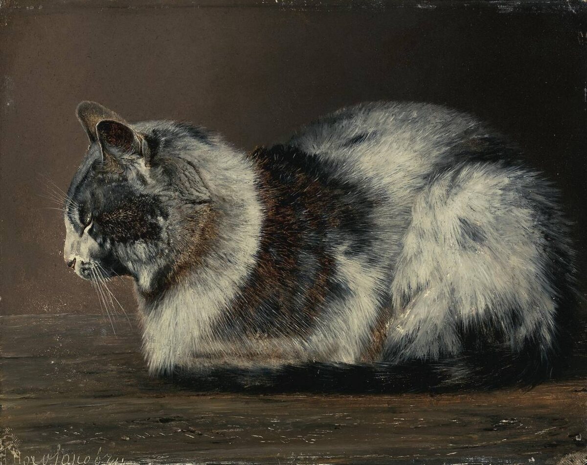 Иван Похитонов. Кот. 1878. Частная коллекция 