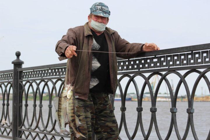 Мошки будет море? Сезон зловредных насекомых начался в Астраханской области