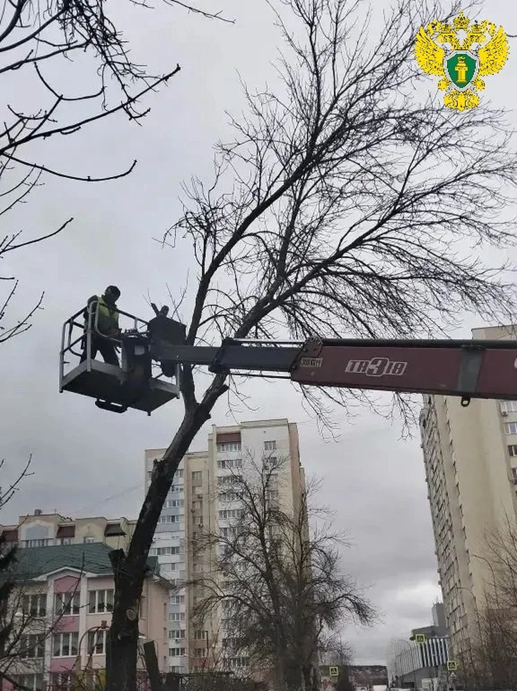     Фото: https://epp.genproc.gov.ru/