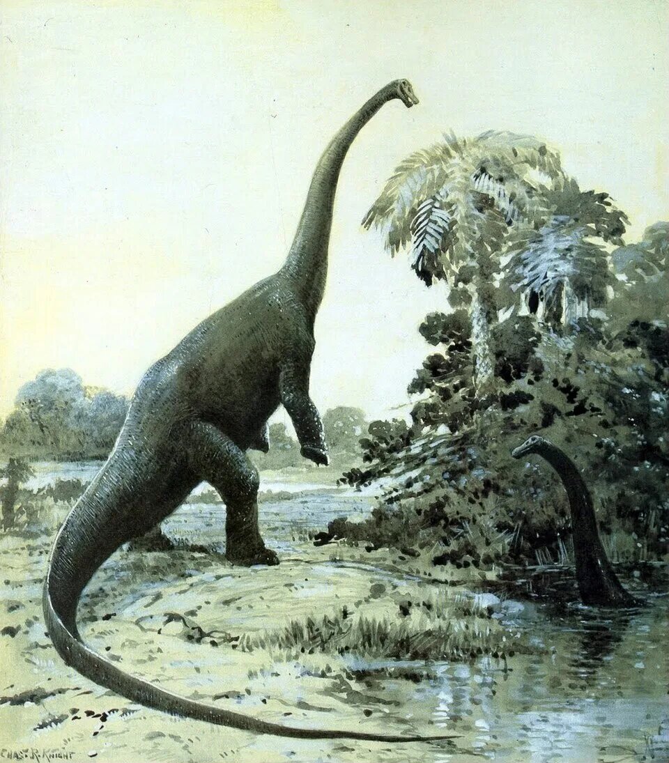 ДИПЛОДОК (DIPLODOCUS)