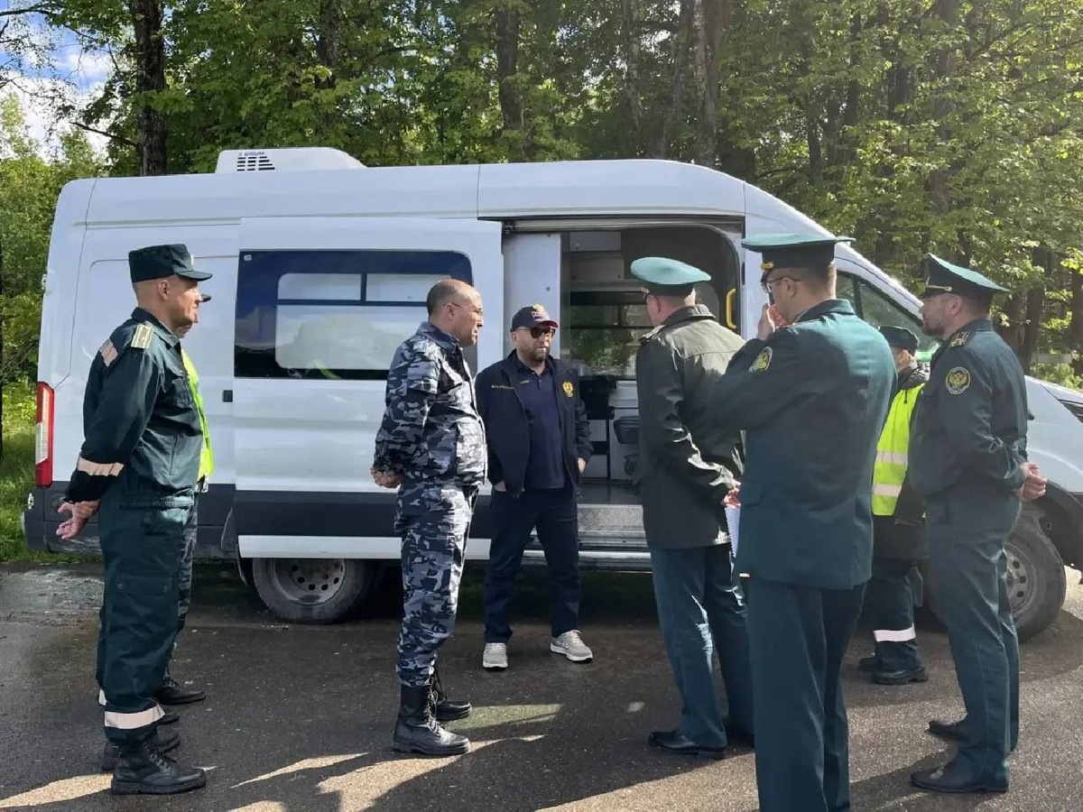    Фото: телеграм/@customs_rf