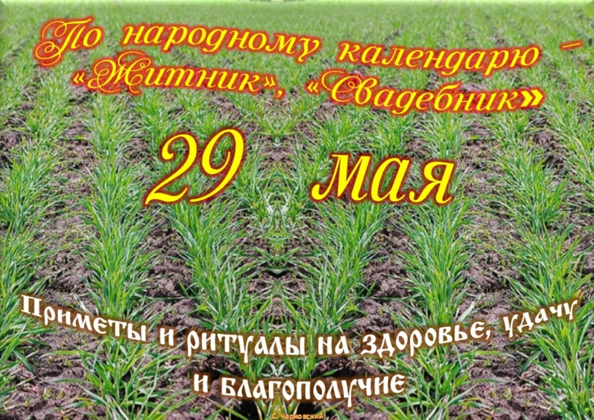 Встречаем новый день