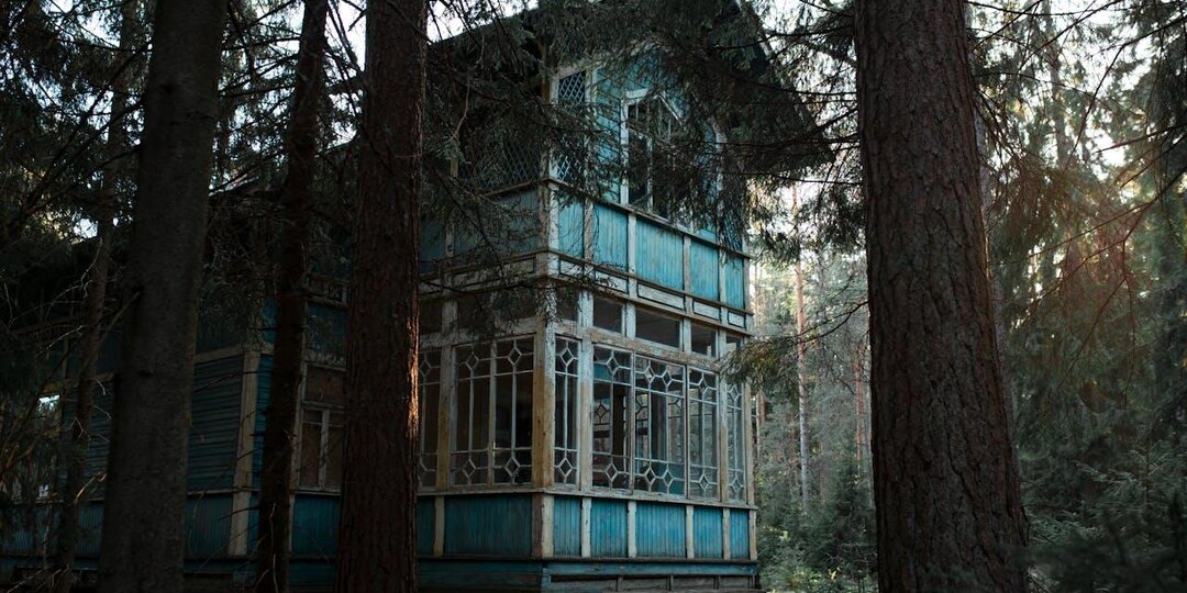 В Новосибирске опубликован лунный календарь дачника на июнь-2026