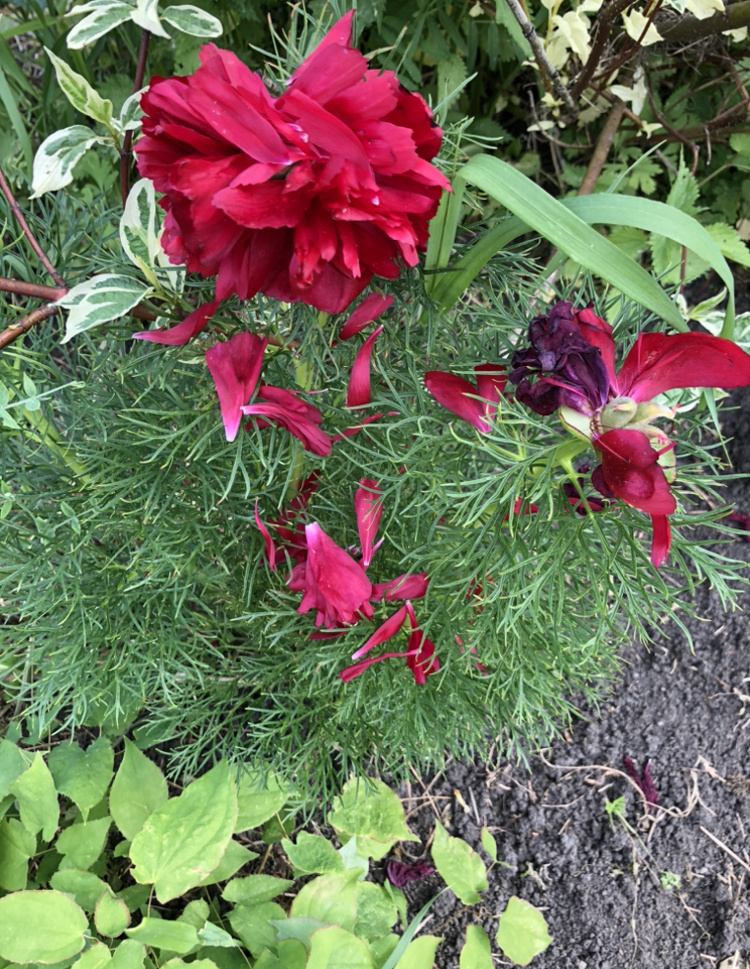 Прошлый год