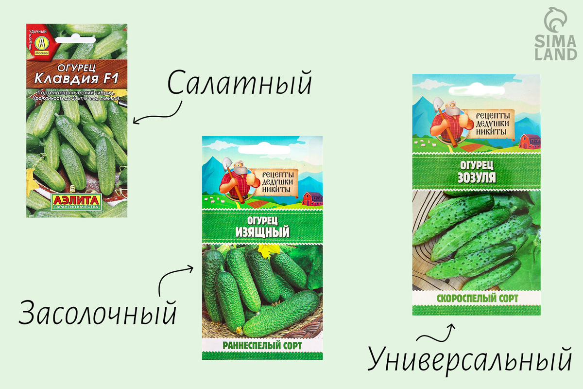 Огурцы по типу