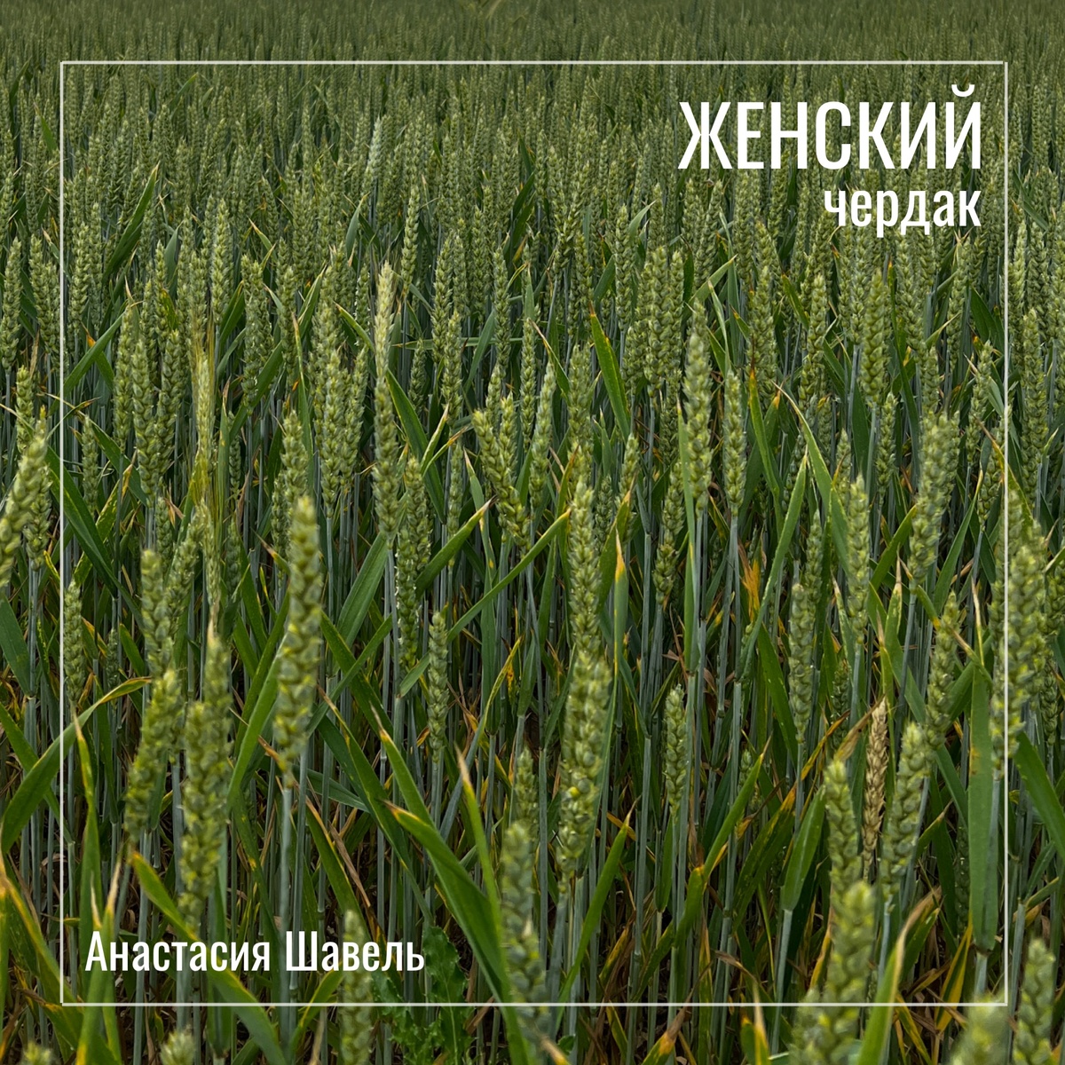 Фото Анастасии Шавель
