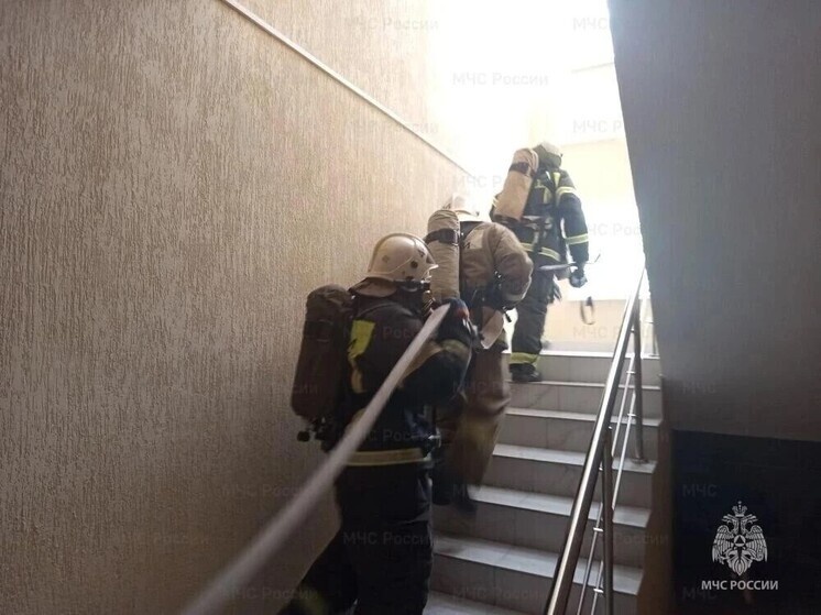     фОТО: ГУ МЧС ПО ТУЛЬСКОЙ ОБЛАСТИ