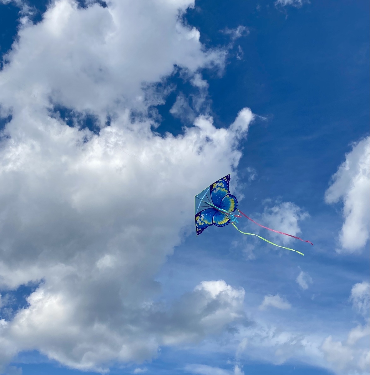 Воздушный змей - бабочка 🦋 