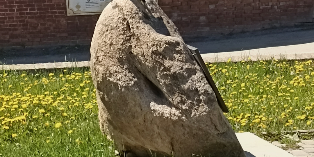 Друг познаётся в радости