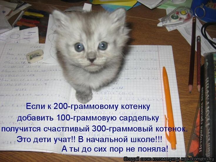 источник Яндекс-картинки