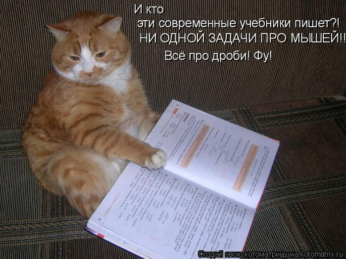 источник Яндекс-картинки