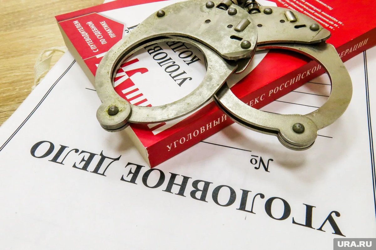     Челябинцу грозит до двух лет лишения свободы