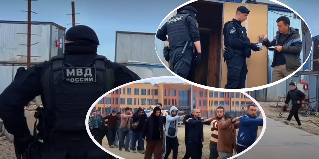 Псы, ОМОН и нелегалы: стройгородки с мигрантами зачистили под Петербургом