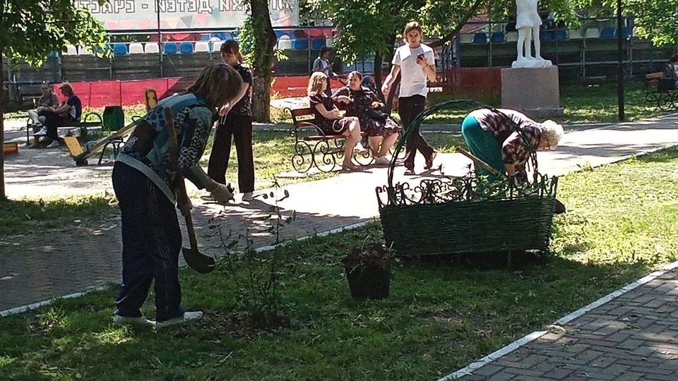 Уровень занятости населения в Курской области составил 62,2 процента