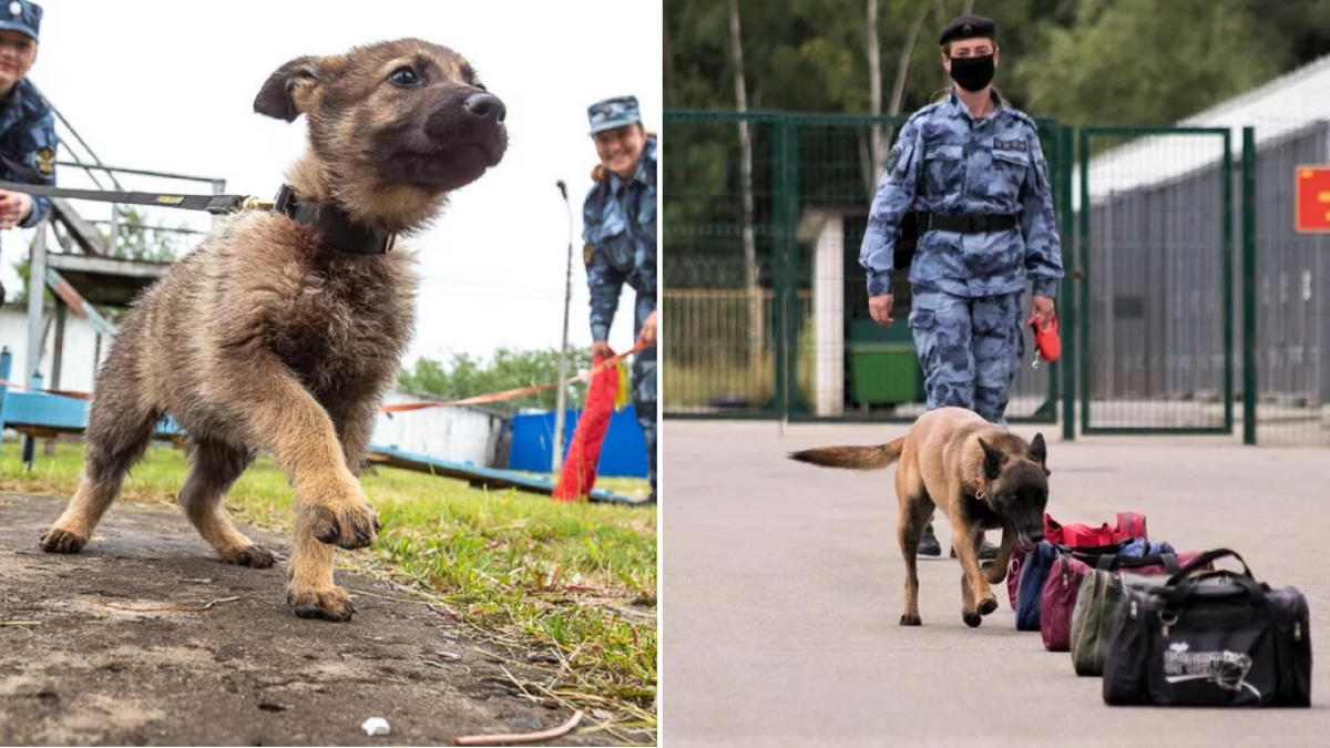 Начало