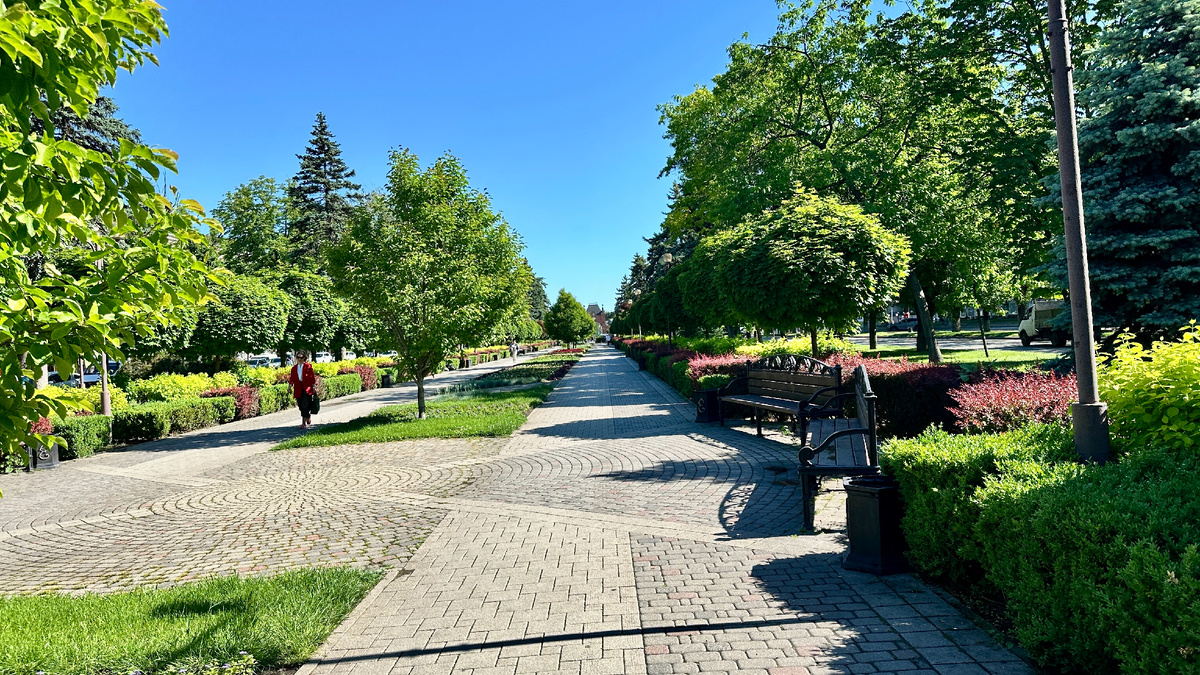 Улица Красная сегодня утром