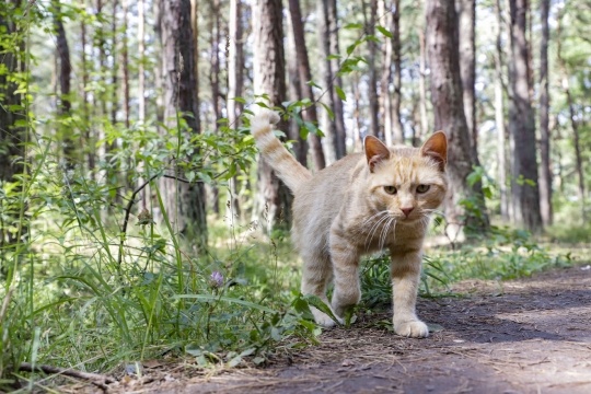    Фото: Виктория Корнеева. АО "Дон24"/ Фотобанк Ростовского регионального отделения СЖР Диана Огнева