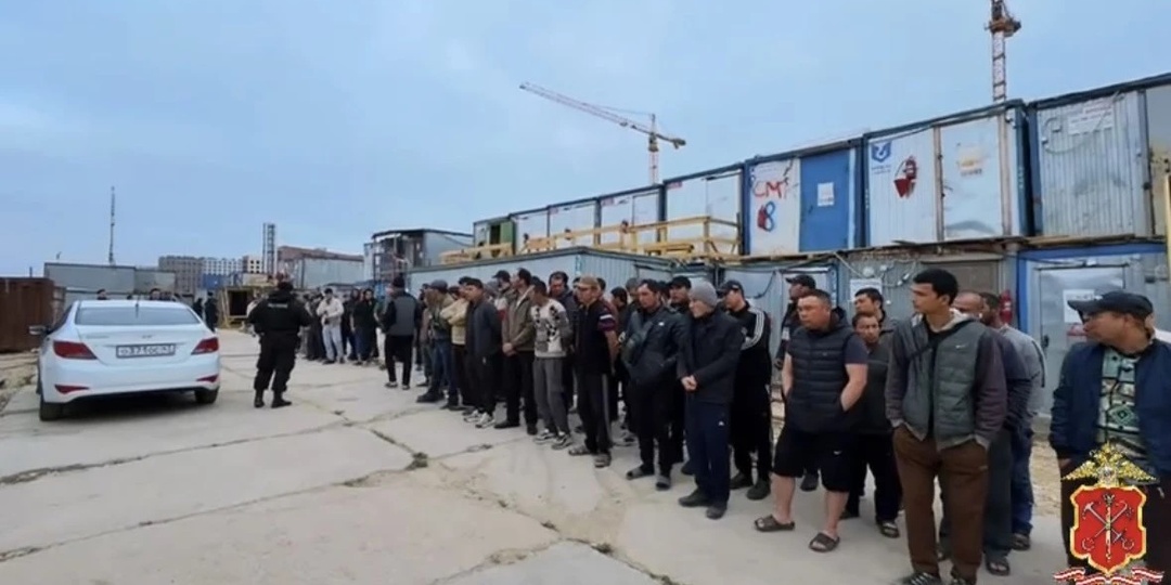 После миграционного рейда в Новоселье в полицию увезли 55 человек