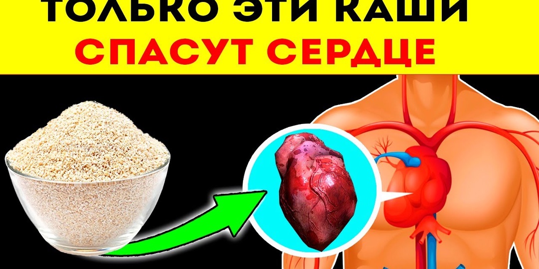Это самые лучшие каши для сосудов и сердца? Врачи их назвали и объяснили, почему не все так просто, как мы думаем