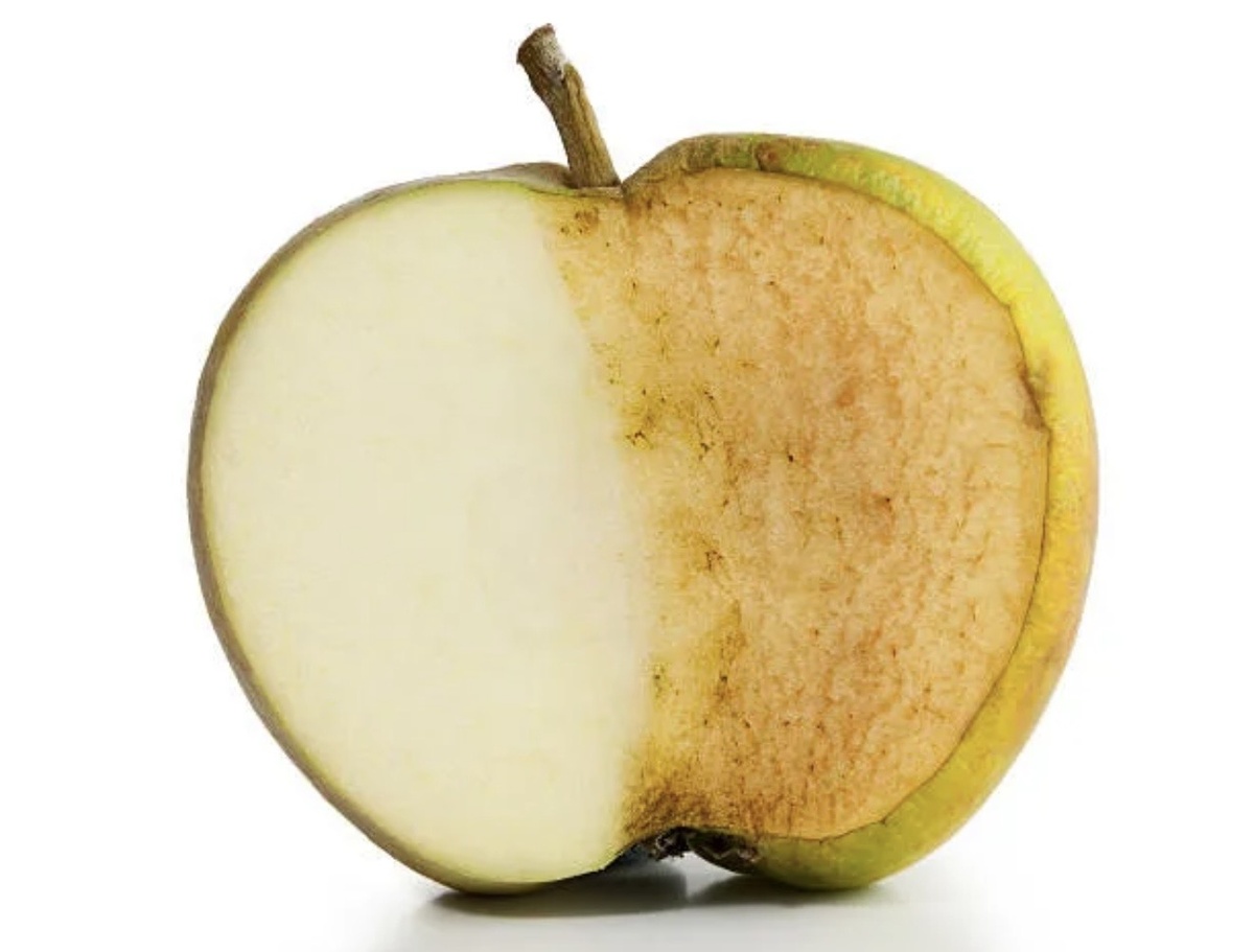 Фото из открытого источника на Яндекс картинки istockphoto.com