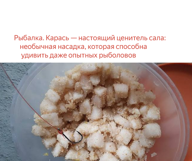 Рыбалка. Карась — настоящий ценитель сала: необычная насадка, которая способна удивить даже опытных рыболовов