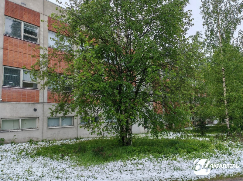    Жители Костомукши слепили снеговика за три дня до лета64 параллель онлайн / ВК