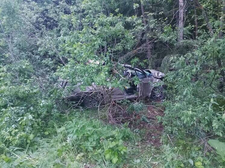     Фото: Госавтоинспекция Удмуртии