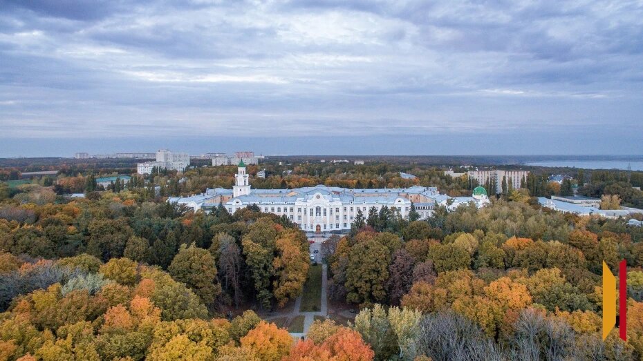    Автор фото: архив РИА «Воронеж», пресс-служба облправительства