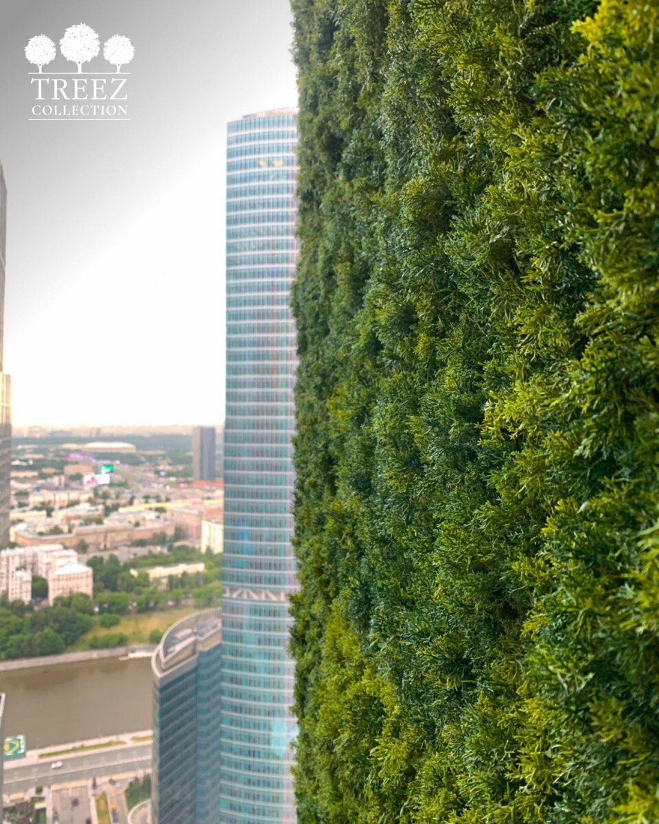 Растения TREEZ Collection