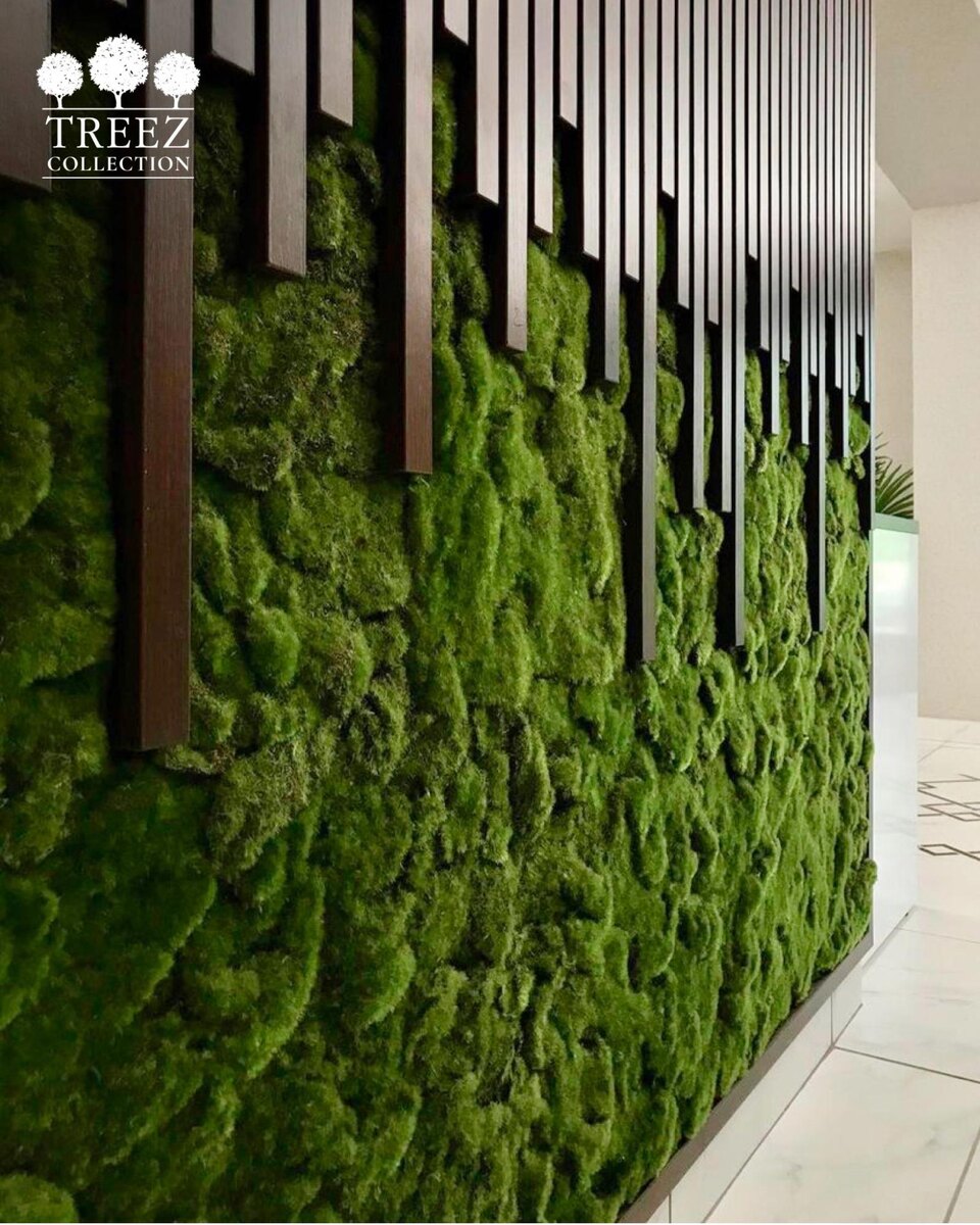 Растения TREEZ Collection