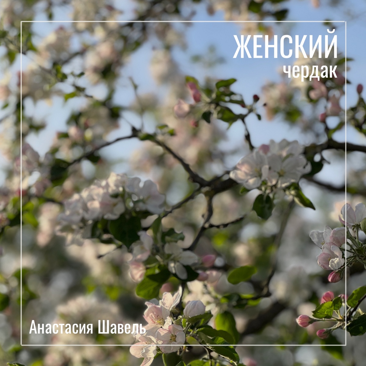 Фото Анастасии Шавель