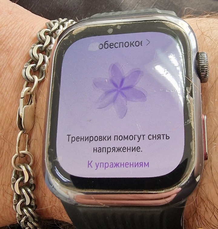На заливке часы посчитали, что я "слегка обеспокоен". Часы на правой руке, т.к. в тыльной стороне ладони торчит кaтeтep.