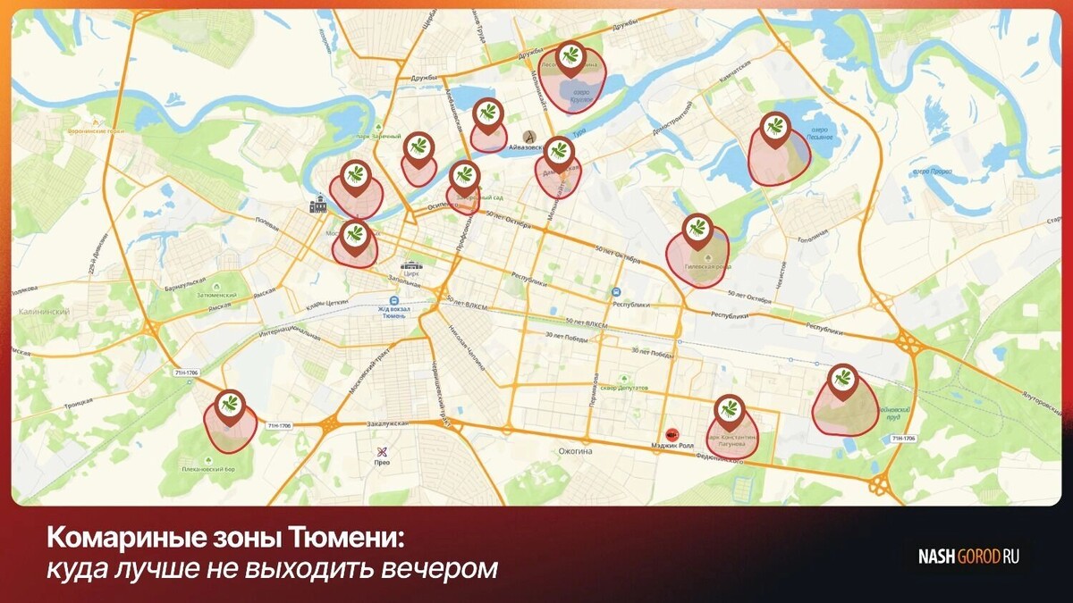    Где в Тюмени комары атакуют целыми роями: карта самых проблемных мест   nashgorod.ru
