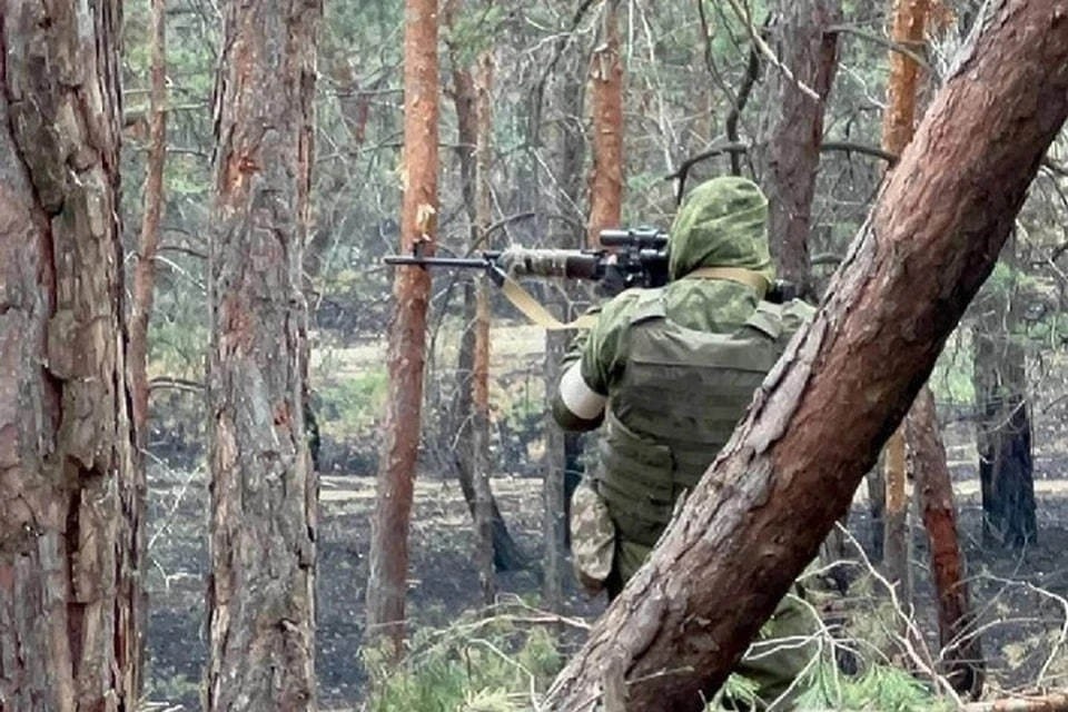    ВС РФ «Южной» группировки войск заняли более выгодные рубежи в ДНР (архивное фото) Александр КОЦ
