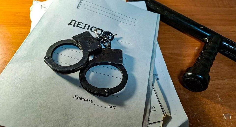    «Подмосковье сегодня»/Юлия Габбасова