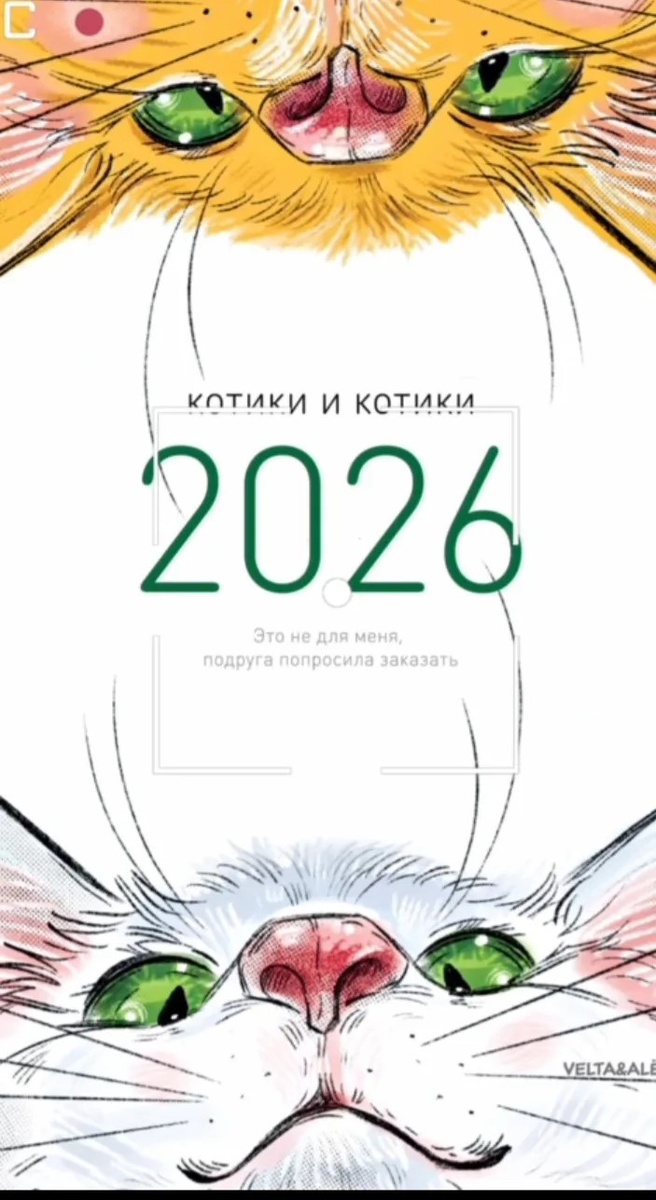 Цезарь выглядывает